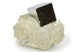 Shiny Natural Pyrite Cube in Rock - Navajun, Spain - Photo 3